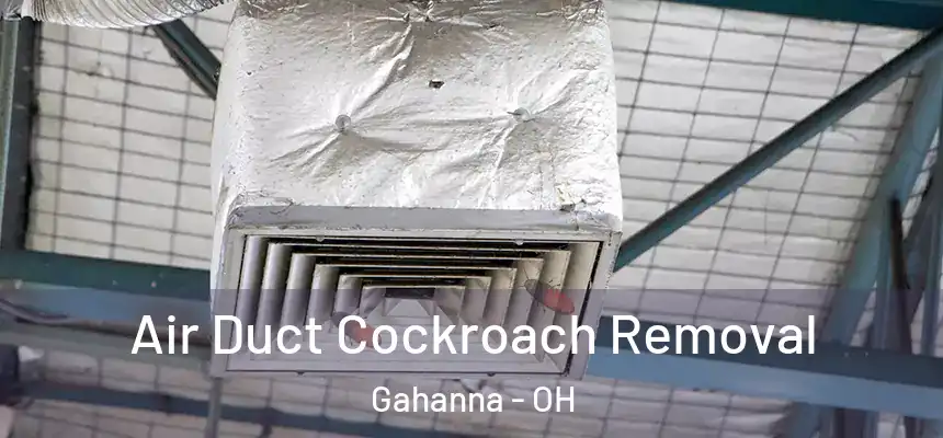 Air Duct Cockroach Removal Gahanna - OH
