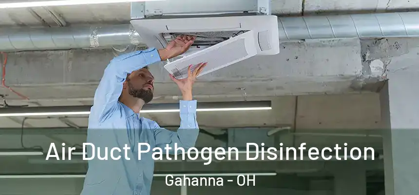  Air Duct Pathogen Disinfection Gahanna - OH