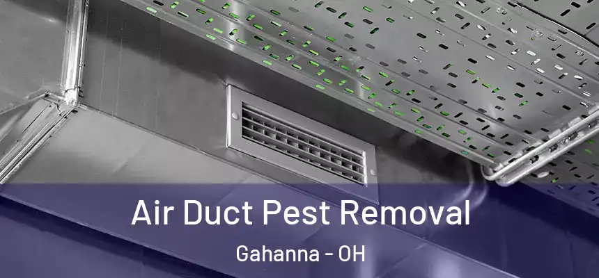  Air Duct Pest Removal Gahanna - OH