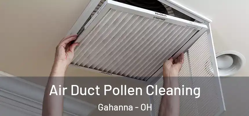  Air Duct Pollen Cleaning Gahanna - OH