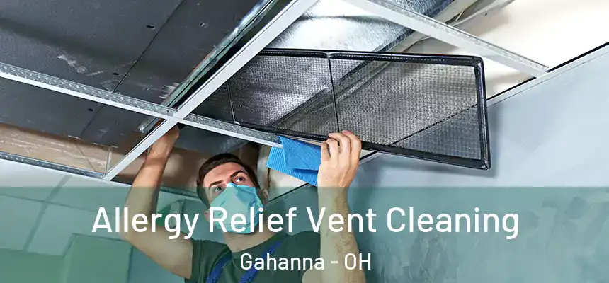  Allergy Relief Vent Cleaning Gahanna - OH