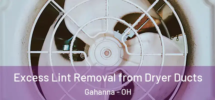  Excess Lint Removal from Dryer Ducts Gahanna - OH