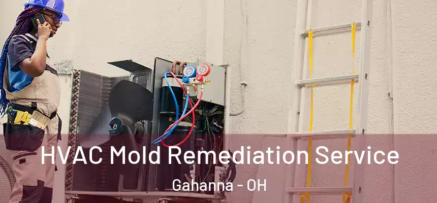  HVAC Mold Remediation Service Gahanna - OH