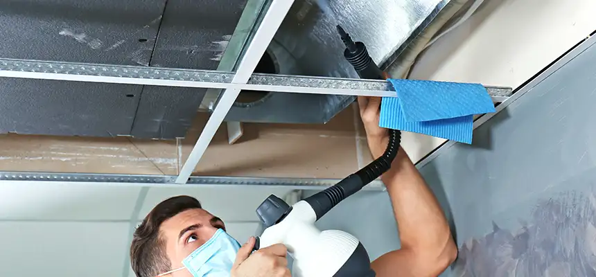 Our Air Duct Rodent Removal Services in Gahanna, OH