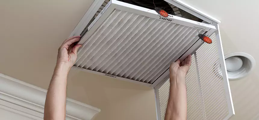 Our Insect Removal from Air Ducts Services in Gahanna, OH