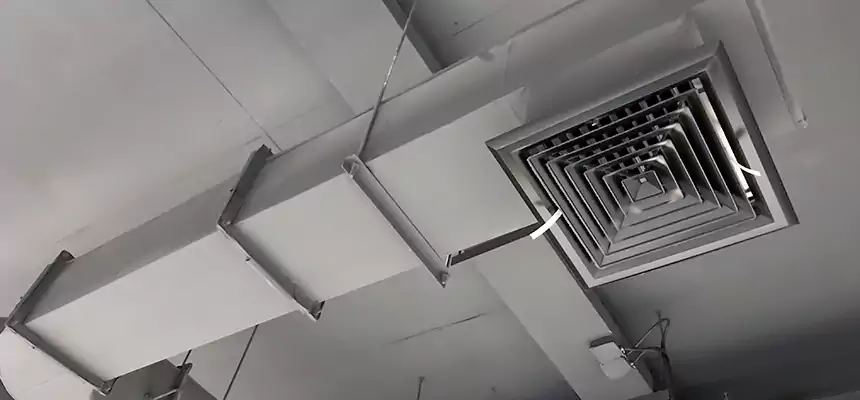 Our Pest Removal From Ducts Services in Gahanna, OH