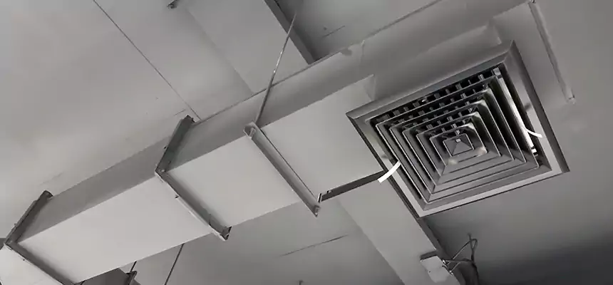 Our Rodent Droppings In Vents Services in Gahanna, OH