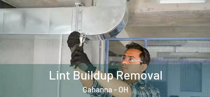  Lint Buildup Removal Gahanna - OH