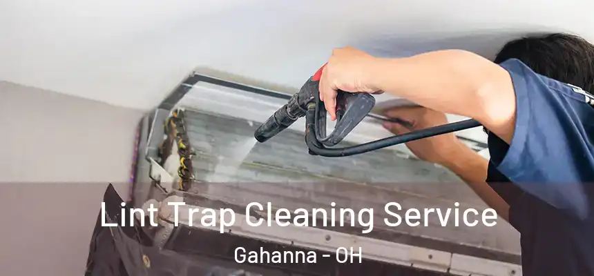 Lint Trap Cleaning Service Gahanna - OH
