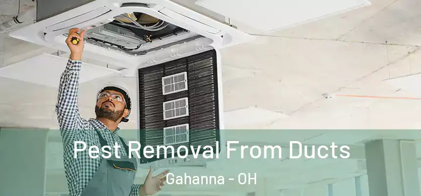 Pest Removal From Ducts Gahanna - OH