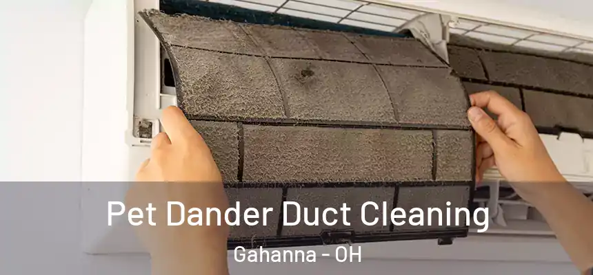 Pet Dander Duct Cleaning Gahanna - OH
