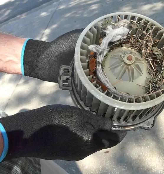 About Air Duct Rat Removal in Gahanna, OH